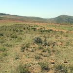 Ndeiya Plot for sale in limuru