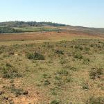 Ndeiya Plot for sale in limuru