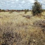 Ndeiya Plot for sale in limuru