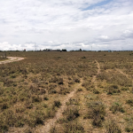 Plots For Sale In Kisaju-Olturoto