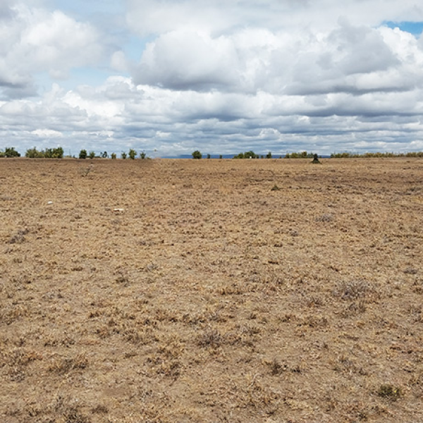Plots For Sale In Oloika,Kitengela