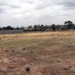 Plots For Sale In Tuala