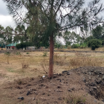 Plots For Sale In Tuala