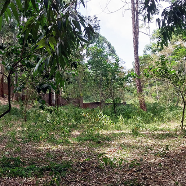 Land For Sale At Redhill Estate