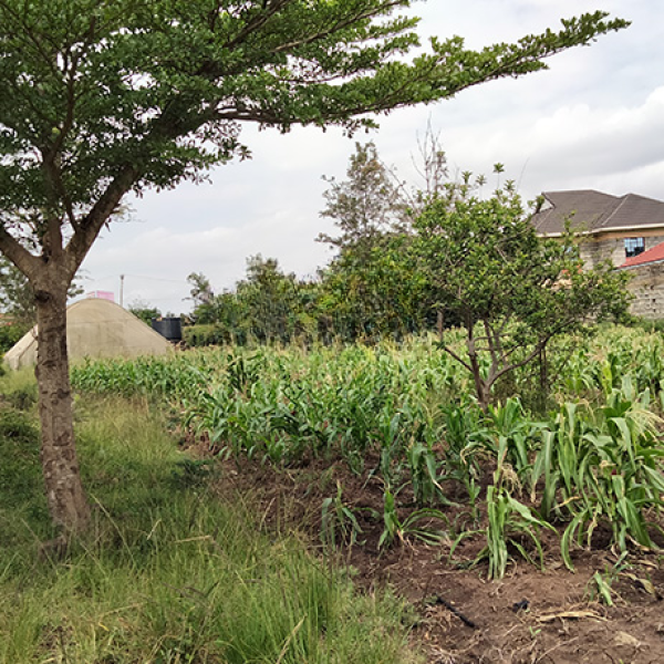 Land For Sale In Ruiru- Varsityville Estate
