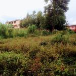 Plot for Sale in Banana – Slightly over 50*100