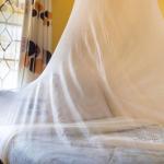 Guest House For Sale In Kariobangi South
