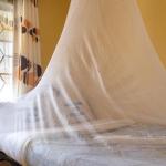 Commercial Building For Sale In Dandora