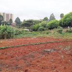 Vacant Plot – Loresho, Nairobi City County