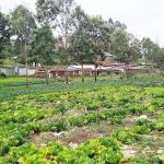 Vacant Plot – Loresho, Nairobi City County