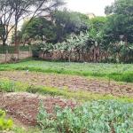 Vacant Plot – Loresho, Nairobi City County