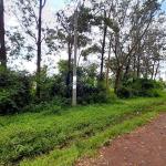 Land for Sale in Thindigua