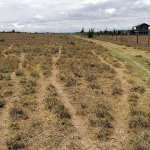 Plots For Sale In Kisaju-Olturoto