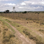 Plots For Sale In Kisaju-Olturoto