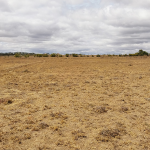 Plots For Sale In Oloika,Kitengela