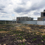 Kitengela Vacant Plots for Sale