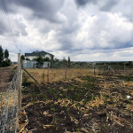 Kitengela Vacant Plots for Sale