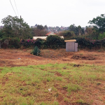 Plot For Sale In Ruiru, Mugutha Area
