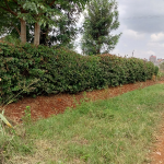 Plot for sale along Njathaini Rd