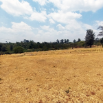 Land For Sale At Redhill Estate