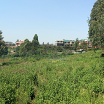 Land for sale in Sigona