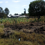 1/2 Acre Plot for sale in Waithaka