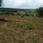 Loneview Plot- Mombasa Road