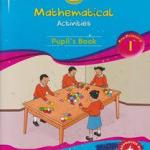 EAEP Fun With Mathematical Activities PP1 (Rtd)